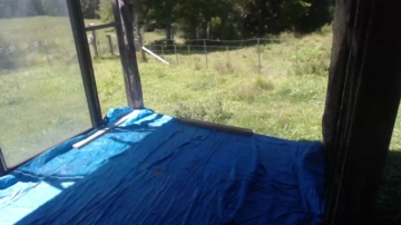 Nezzey  15-11-2021 video athletic